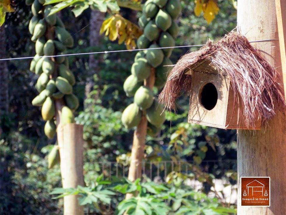Pousada Bangalo De Barro Paraty Ngoại thất bức ảnh