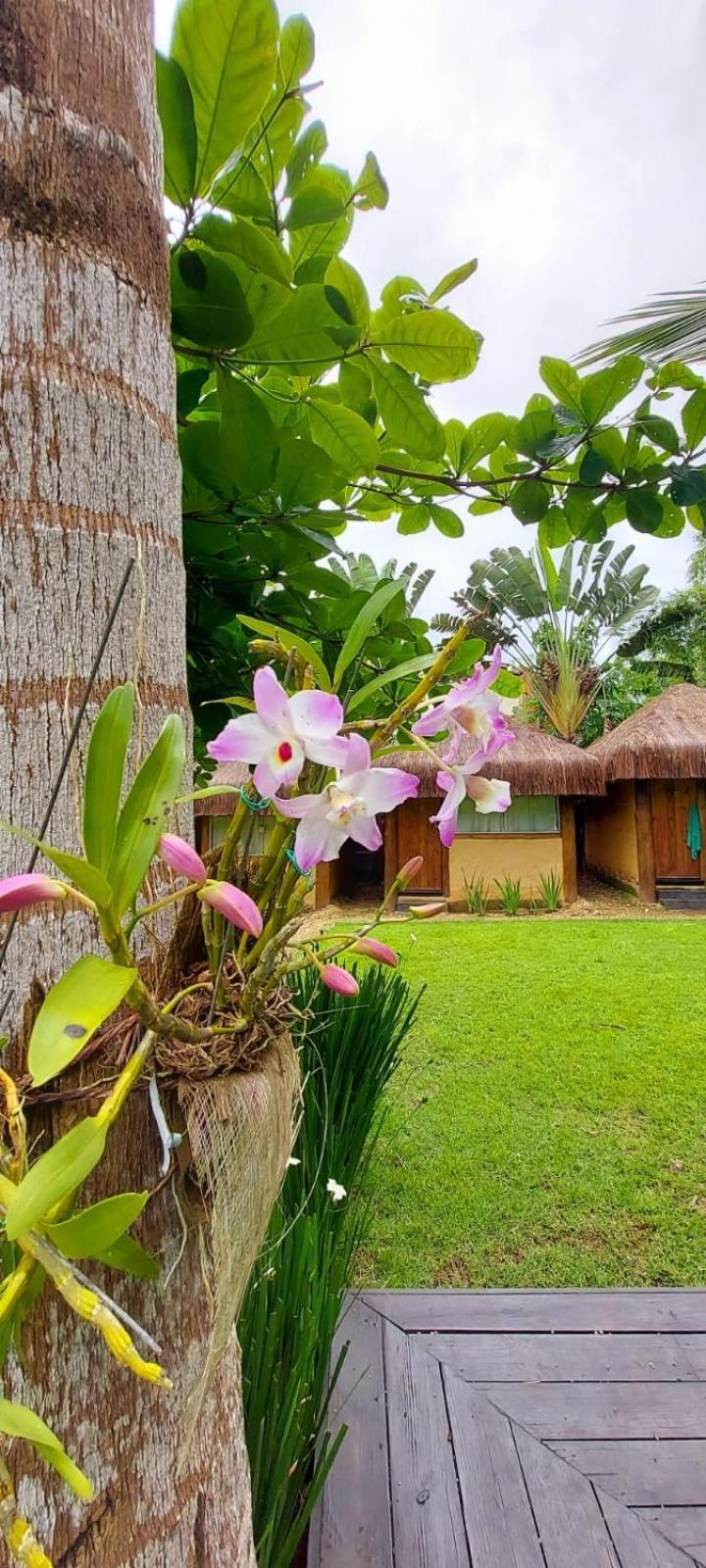Pousada Bangalo De Barro Paraty Ngoại thất bức ảnh