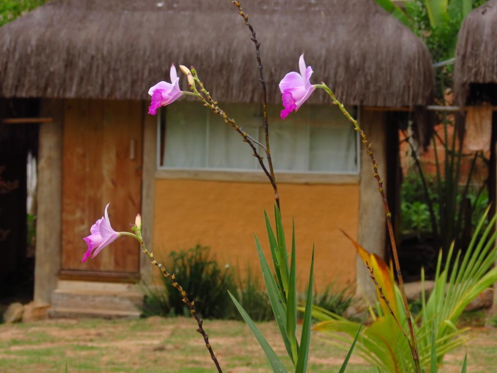 Pousada Bangalo De Barro Paraty Ngoại thất bức ảnh